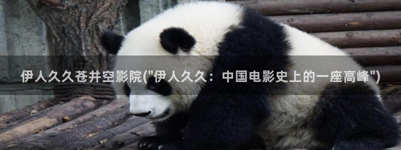 综合伊人视屏网：伊人久久苍井空影院(\