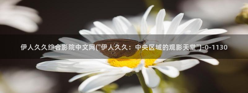 九热伊人视屏：伊人久久综合影院中文网(\